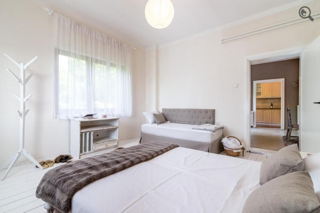 Wine House Apartment Belgrad Dış mekan fotoğraf